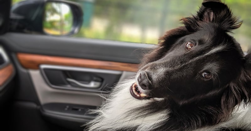 Road trip en famille : itinéraire et conseils pratiques pour réussir