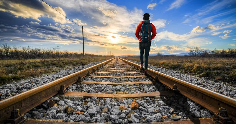 Quel parc pour quel profil de voyageur ?